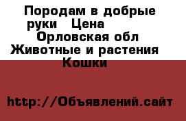 Породам в добрые руки › Цена ­ 1 500 - Орловская обл. Животные и растения » Кошки   